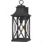Quoizel Ellerbee Outdoor Wall Lantern ELB8409MB - alternate 1